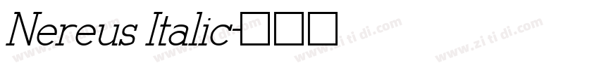 Nereus Italic字体转换
